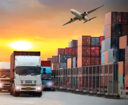 Untitled design (75)